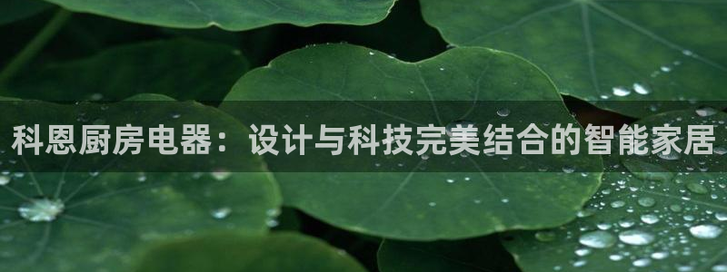 鸿运当头贷款平台