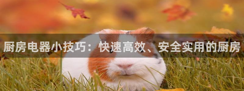 鸿运彩票网络平台