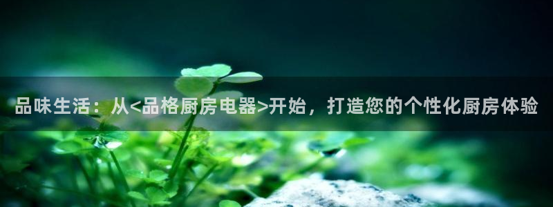 鸿运平台app