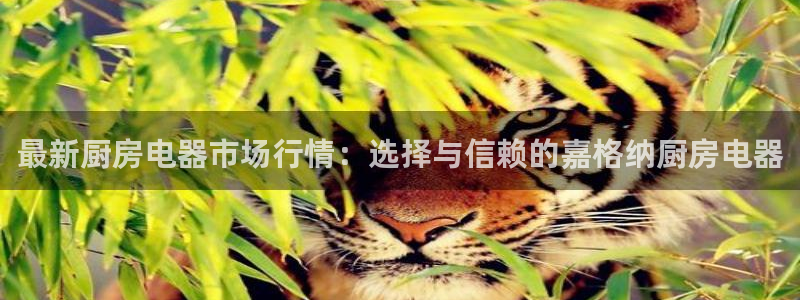 鸿运彩票平台的网址