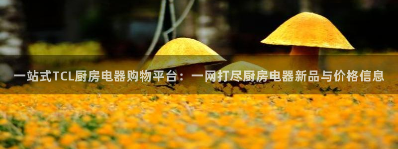 鸿运做单平台