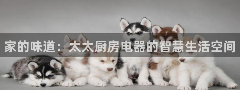 鸿运彩票平台违法吗