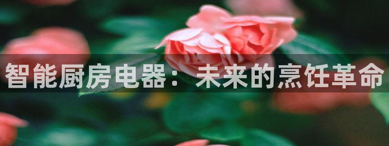 鸿运画室平台介绍