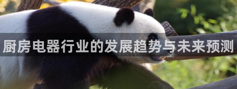 鸿运连锁管理平台