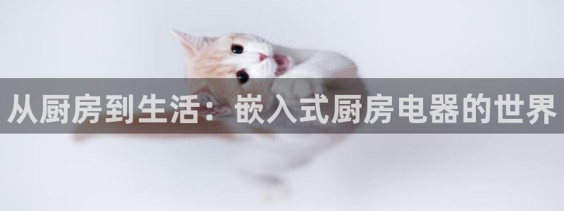 会员鸿运国际平台