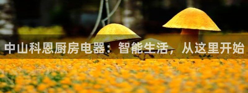 鸿运当头在哪个平台