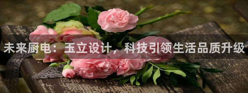 鸿运通借款平台