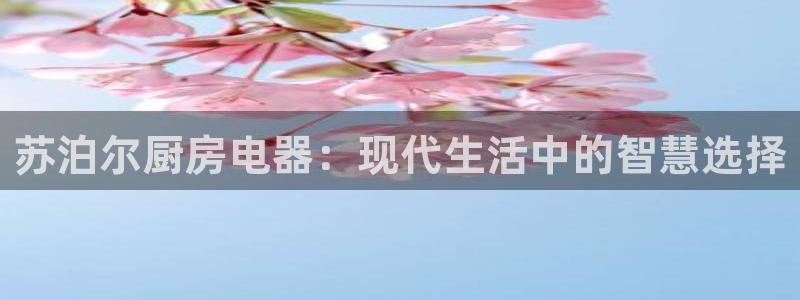 菲律宾鸿运彩票平台