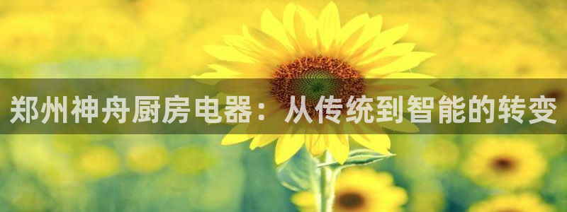 鸿运策略平台