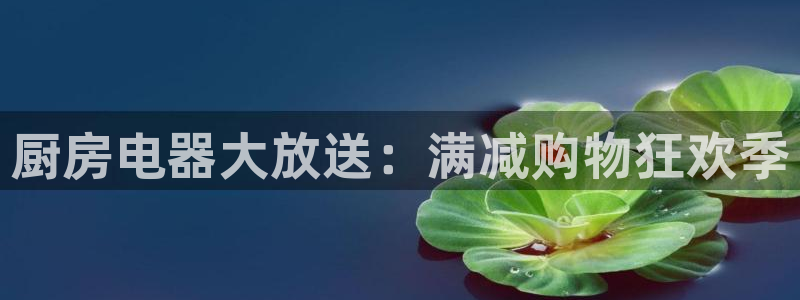 鸿运体育平台网址是什么