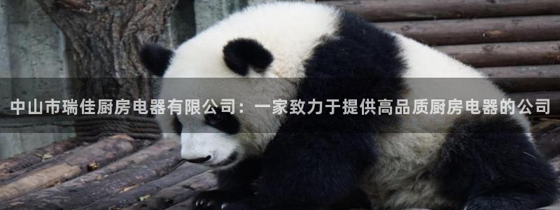 鸿运仓储直播平台