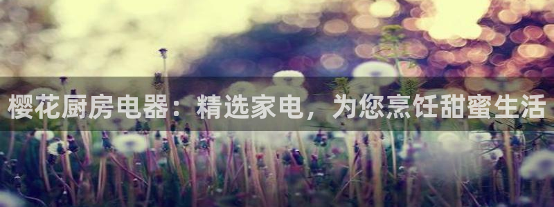 鸿运平台是干嘛的