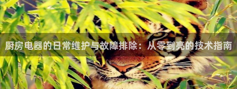 鸿运平台真假