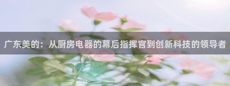 鸿运手机棋牌平台