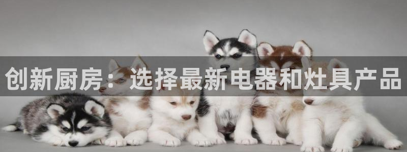 鸿运彩票网络平台下载