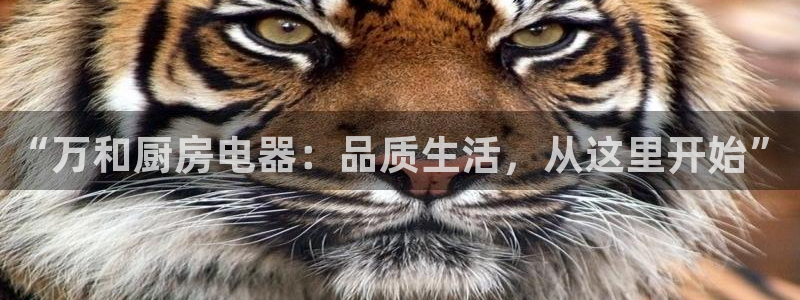 鸿运电器直播平台