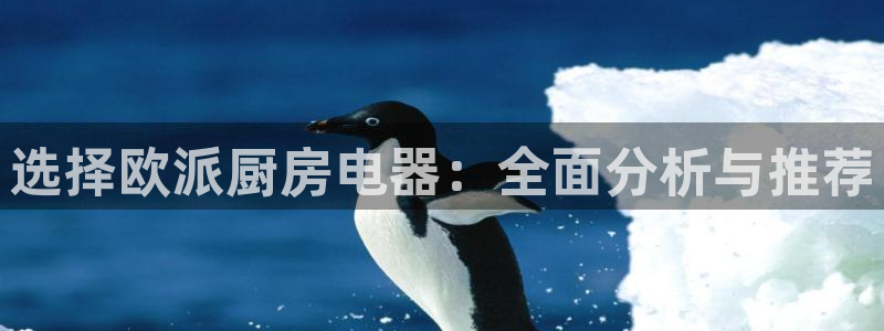 鸿运平台代理理