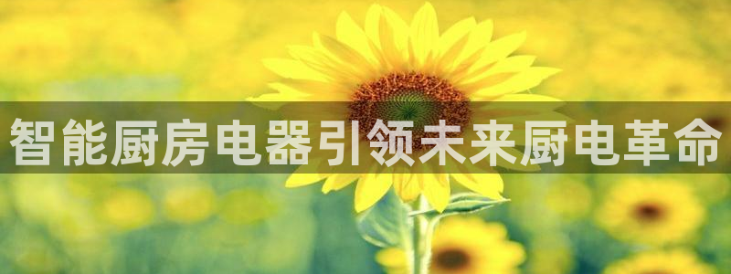 鸿运最新平台下载