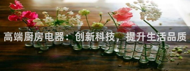 鸿运平台推荐