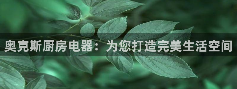 鸿运财富是什么平台