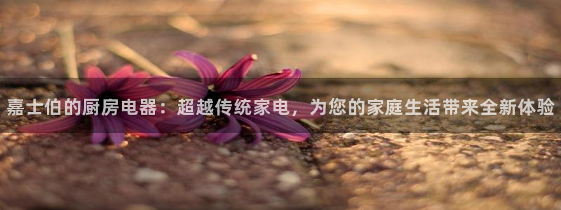 鸿运信投平台