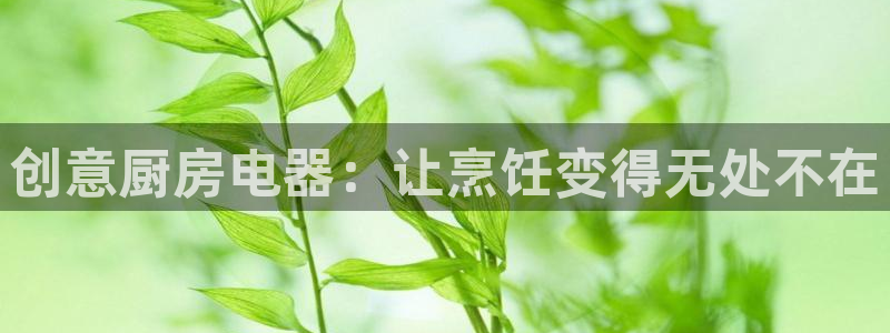 鸿运国际平台代理