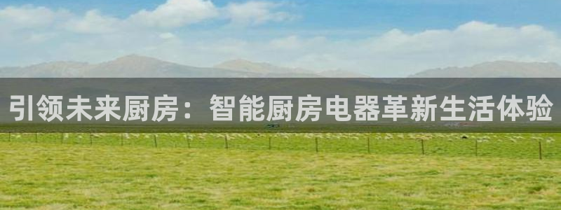 琥珀鸿运是个国际平台吗