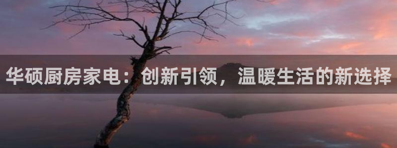 鸿运app是什么平台