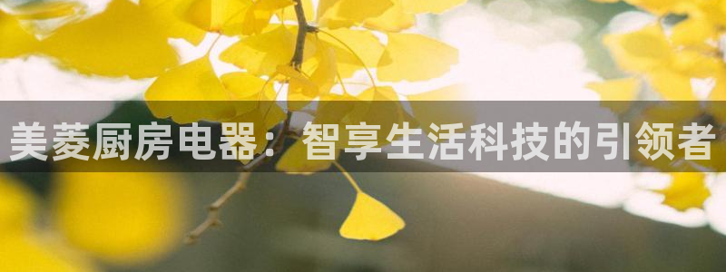 鸿运外汇平台