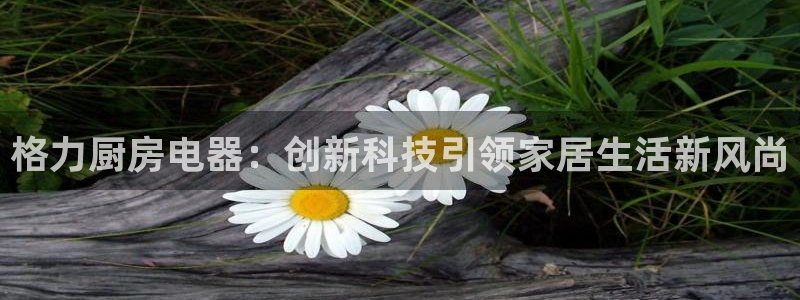 鸿运下注平台
