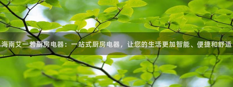 鸿运平台代理