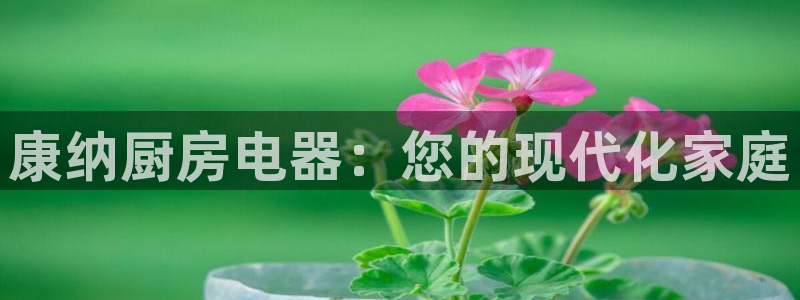 鸿运棋牌直播平台