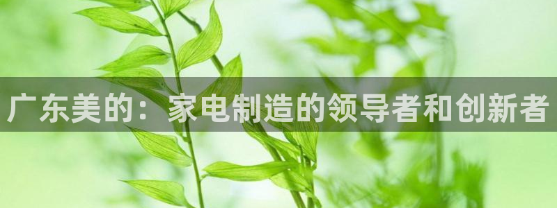 鸿运平台投资诈骗