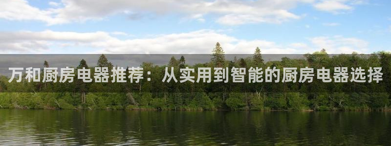 鸿运合拍字画拍卖平台