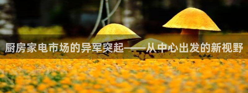 鸿运彩票平台违法吗