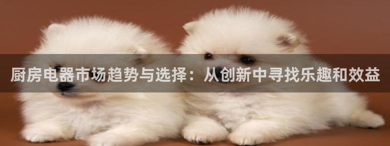 游戏鸿运平台网站