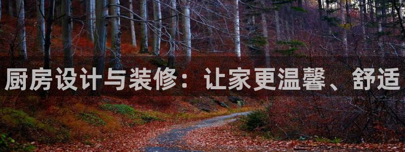 鸿运公司滴滴平台