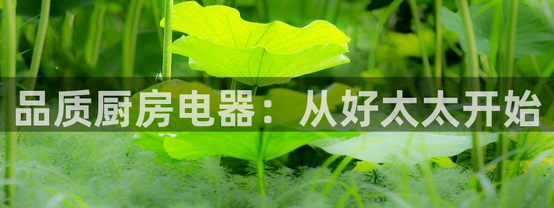 鸿运通平台可靠吗