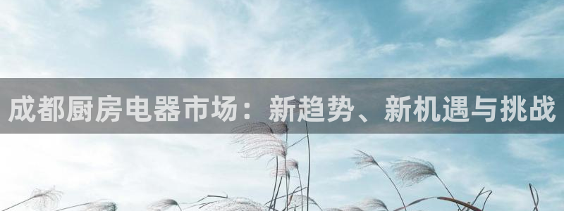 琥珀鸿运平台怎么提现