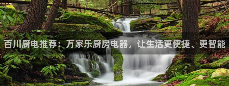 唯一艺术平台鸿运当头