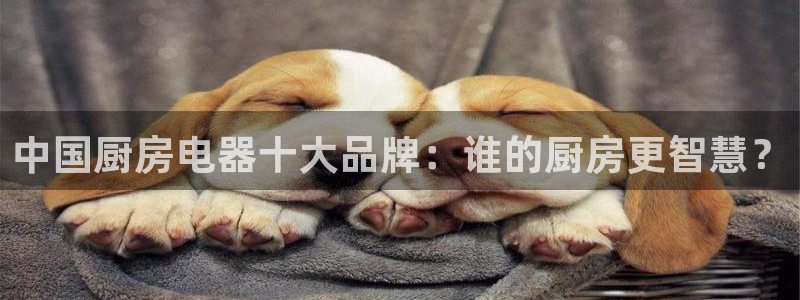 鸿运商会直播平台