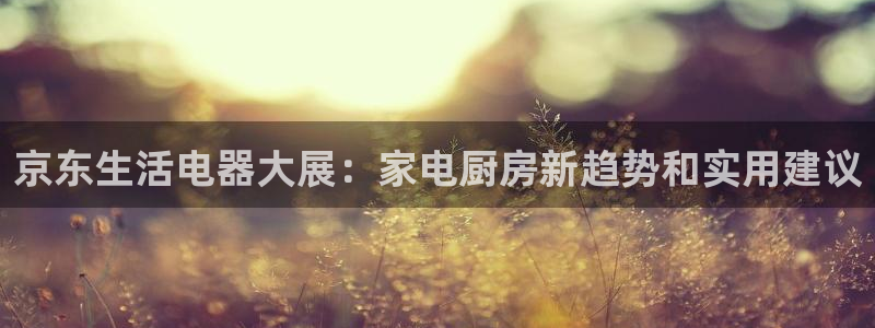 鸿运平台投资诈骗事件