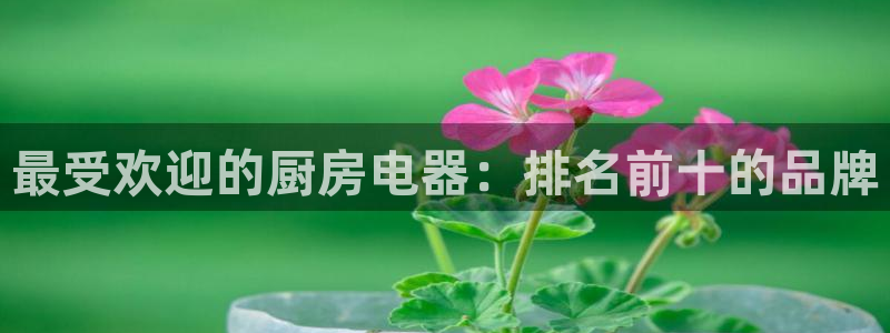 鸿运app直播平台