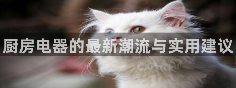 鸿运平台诈骗电话