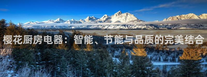 鸿运棋牌app平台