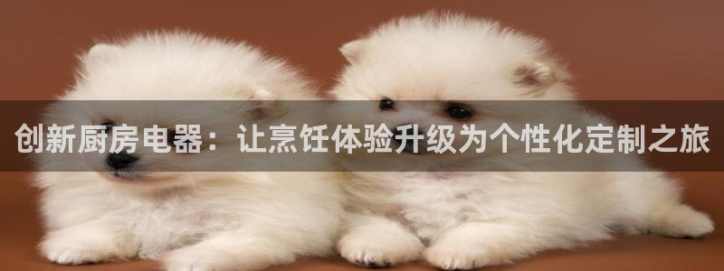 鸿运六月直播平台