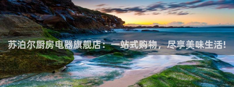 鸿运商滴管理平台