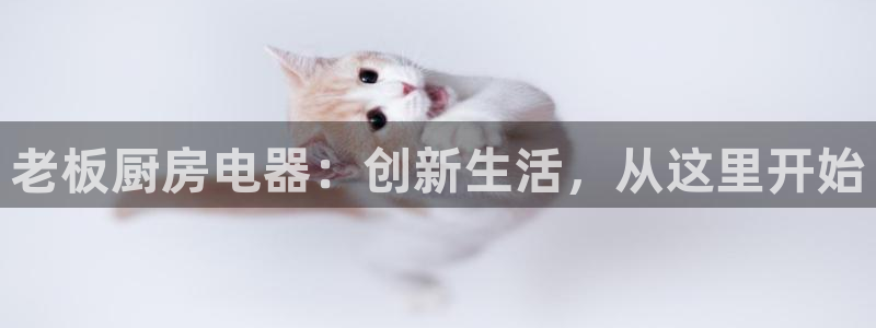 李鸿运开直播平台