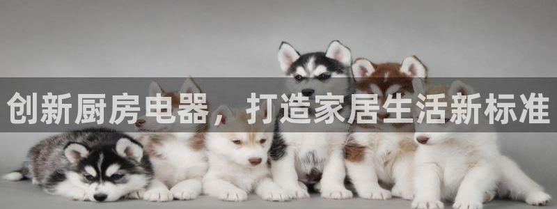 鸿运达交易平台