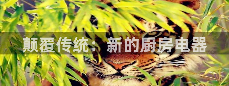 鸿运宝金融投资平台